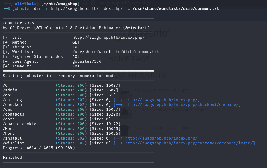 gobuster1